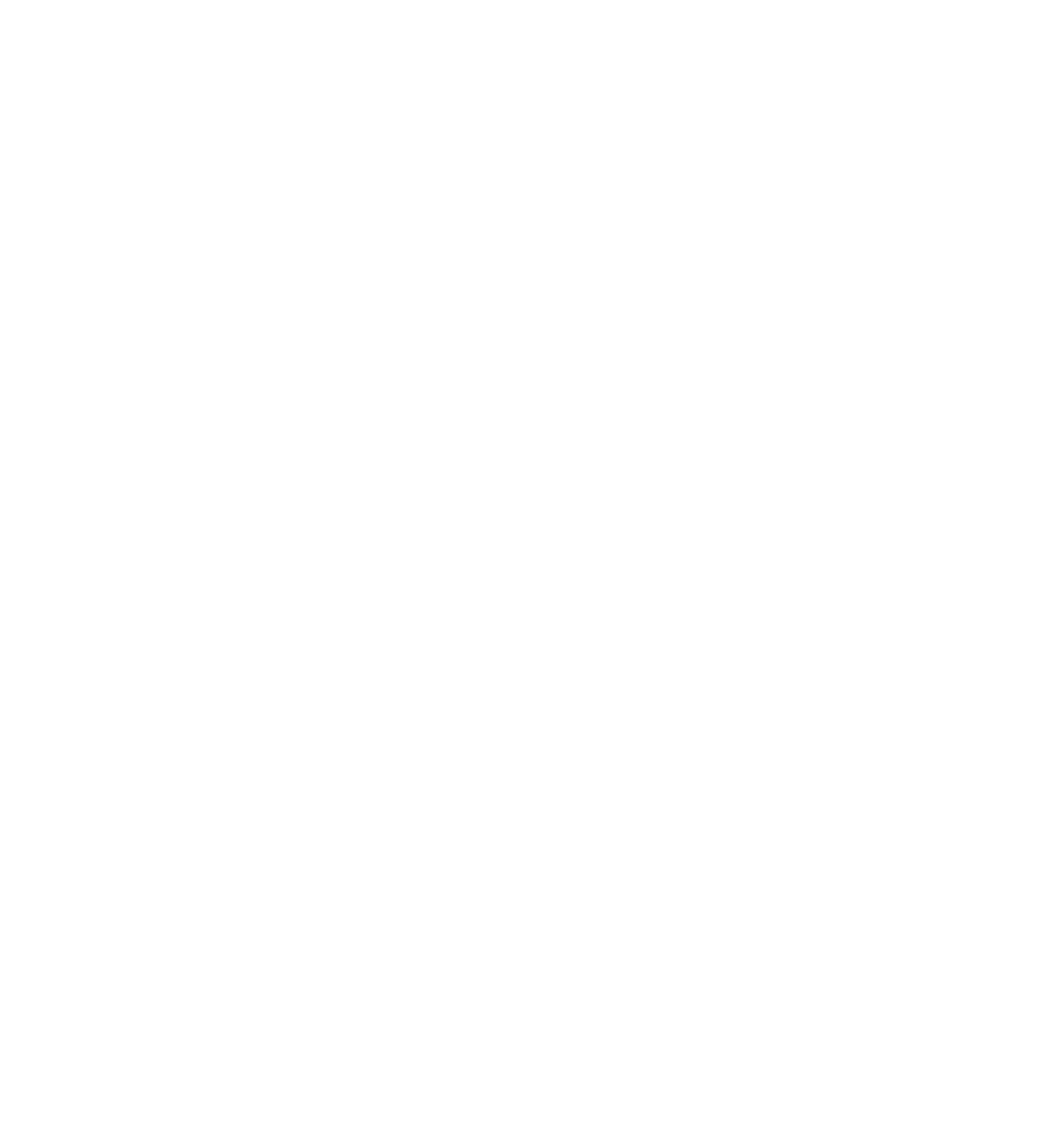BC Rapid_logo